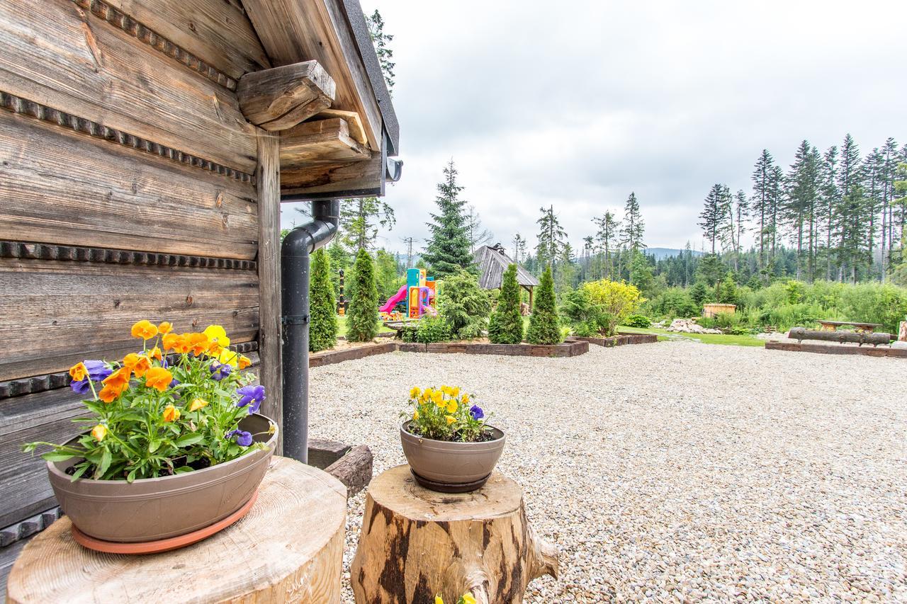 Apartamenty Bialy Potok Witów المظهر الخارجي الصورة